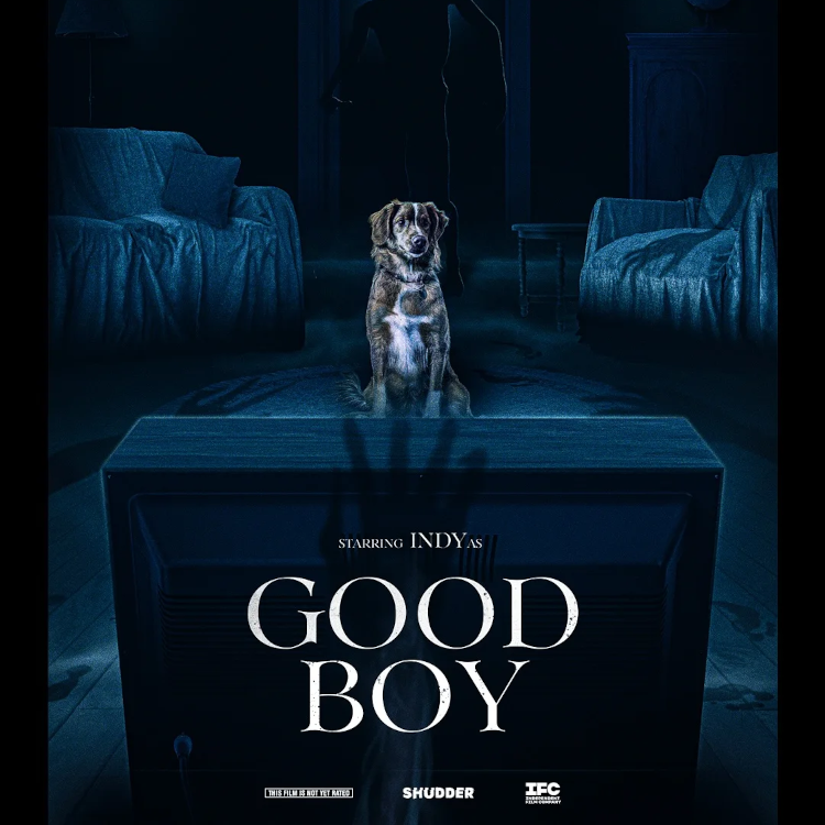 Good Boy