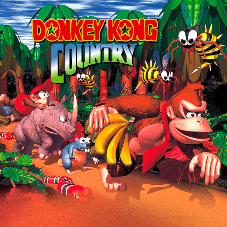 Donkey Kong Country